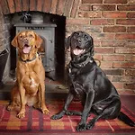 The Bay Horse Inn 3*