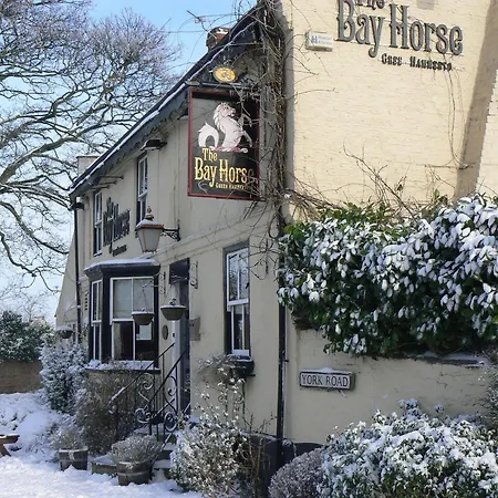 The Bay Horse אורחן