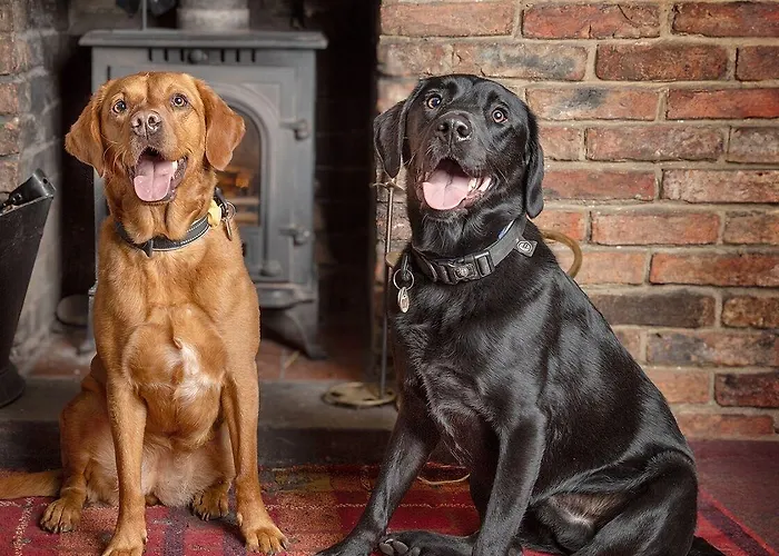 The Bay Horse Inn 3*