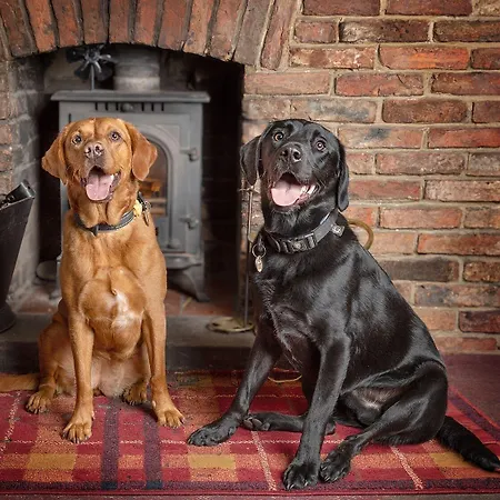 The Bay Horse 宾馆 3*