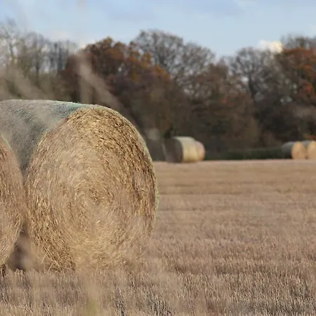 宾馆 The Bay Horse